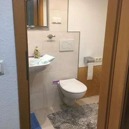 Apartment Doppelzimmer Mit Poolnutzung Im Souterrain Der Naturpark Rheinblick *