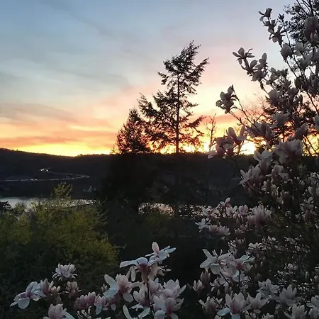 Doppelzimmer Mit Poolnutzung Im Souterrain Der Naturpark Rheinblick * Koblenz (Rhineland-Palatinate)